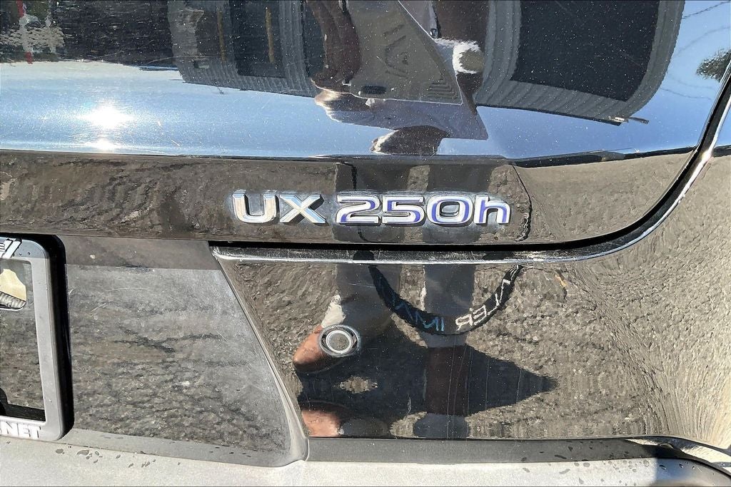 2021 Lexus UX 250h F SPORT