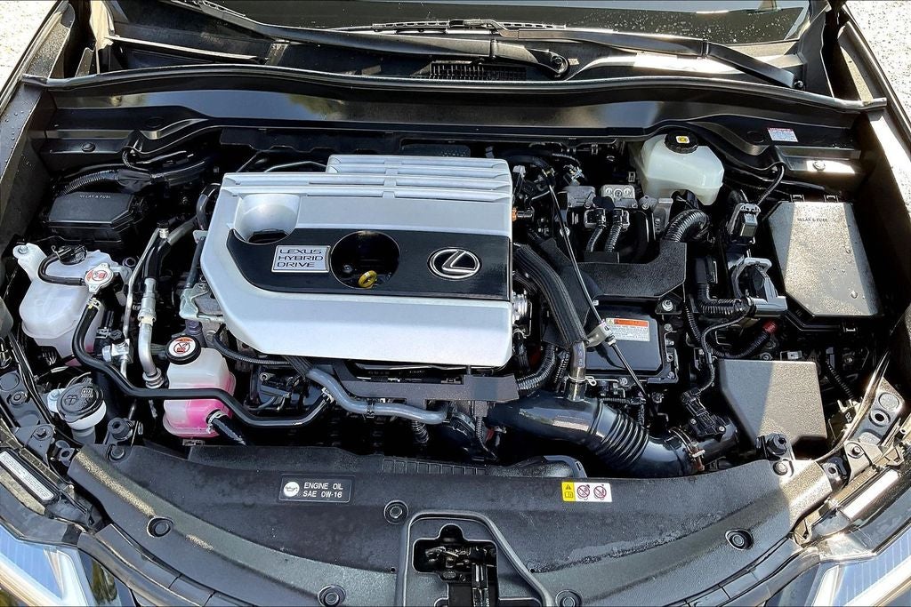 2021 Lexus UX 250h F SPORT