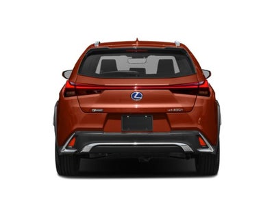 2021 Lexus UX 250h F SPORT